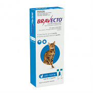 Bravecto Cat Medium 2.8-6.25kg Blue Spot On Treatment