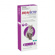 Bravecto Cat Large 6.25-12.5kg Purple Spot On Treatment