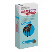 Bravecto Large 20-40kg Blue Dog 1 Month Chew Treatment