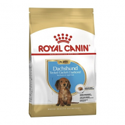 Royal Canin Dachshund Puppy