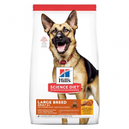 Hills Science Diet Adult Large Breed 6+ Senior Dry Dog Food