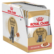 Royal Canin Adult British Shorthair in Gravy