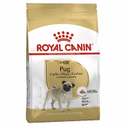 Royal Canin Pug Adult