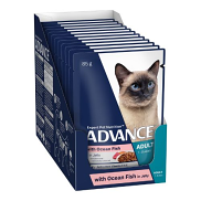 Advance Adult Ocean Fish in Jelly