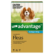 Advantage Medium 4-10kg Teal