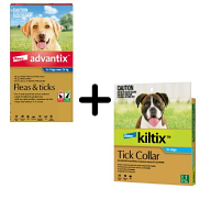 Advantix and Kiltix Bundle for Extra Large over 25kg Blue / Grey 