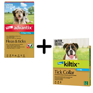 Advantix and Kiltix Bundle for Medium 4-10kg Teal