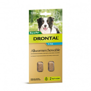 Drontal Allwormer Chew Medium 5.1-10kg