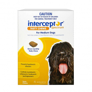 Interceptor Spectrum Chews Medium 11-22kg Yellow