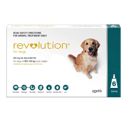 Revolution Teal Large 20-40kg