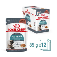Royal Canin Adult Hairball Care in Gravy