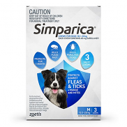 Simparica Medium 10.1-20kg