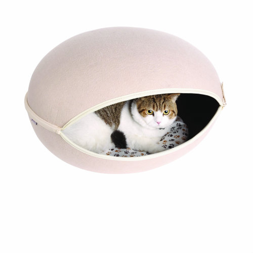 cat pod