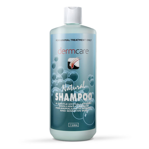 Dermcare Natural Shampoo