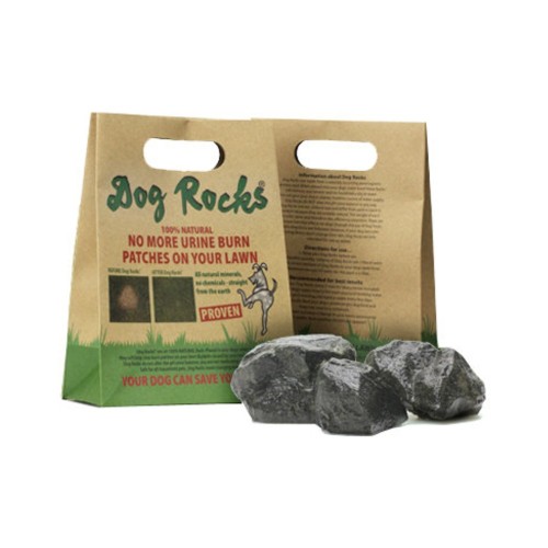Dog Rocks