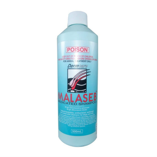 Dermcare Medicated Malaseb Shampoo for Dogs & Cats Antifungal - Picture 6 of 7