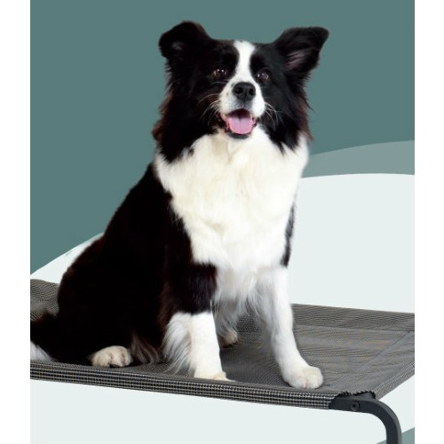 Cara Pet Elevated Pet Dog Trampoline Bed Large Hammock Frame Steel - Picture 9 of 11