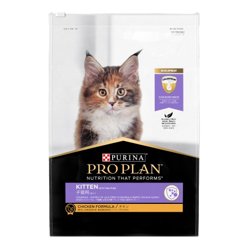 Pro Plan Kitten