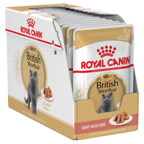 Royal Canin Adult British Shorthair in Gravy
