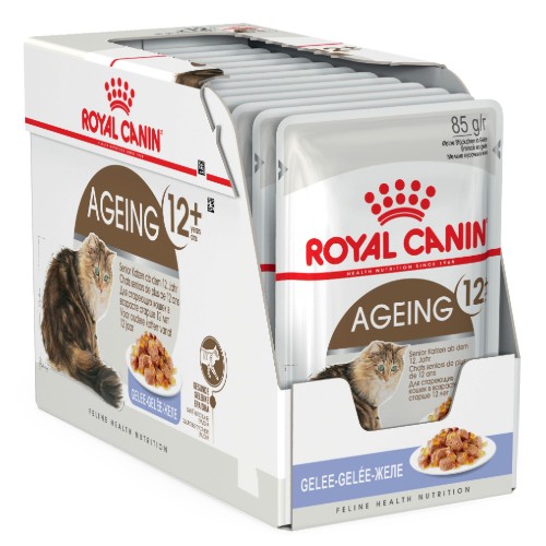 Royal Canin Ageing 12+ Years in Jelly