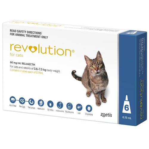 Revolution Blue