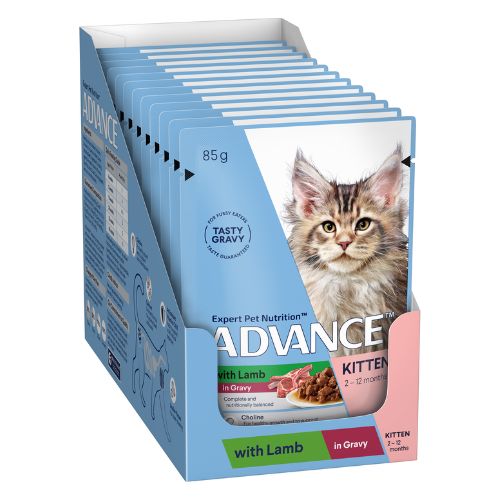 Advance Kitten Lamb in Gravy