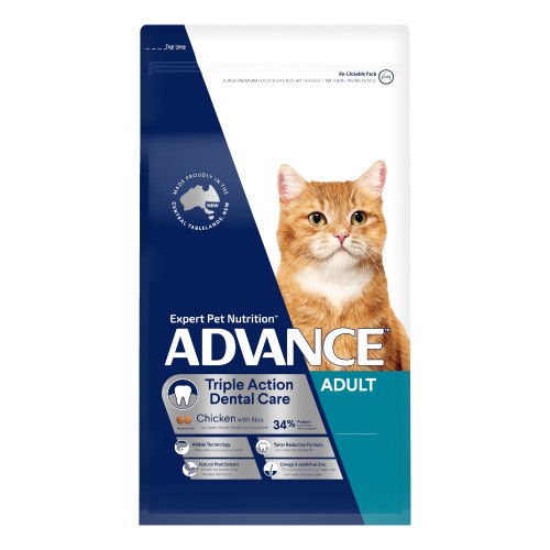 Advance Cat Adult Dental Care