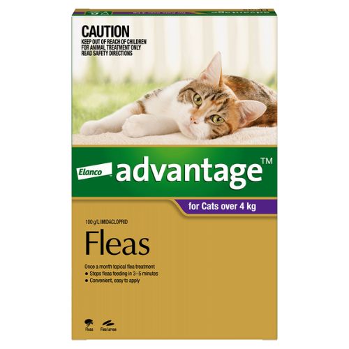 Advantage Large Over 4kg Purple