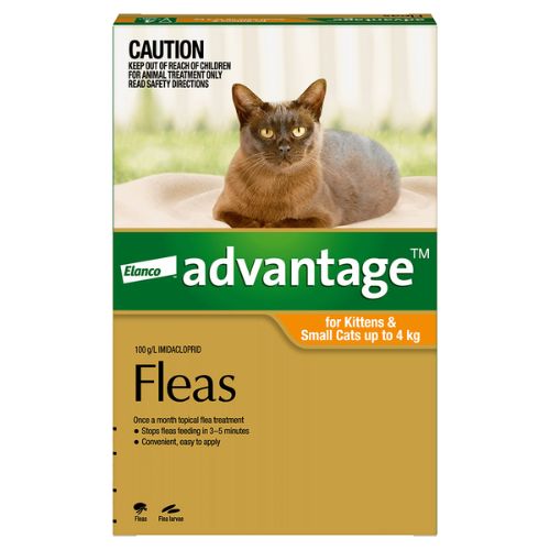 Advantage Kitten and Small Under 4kg Orange