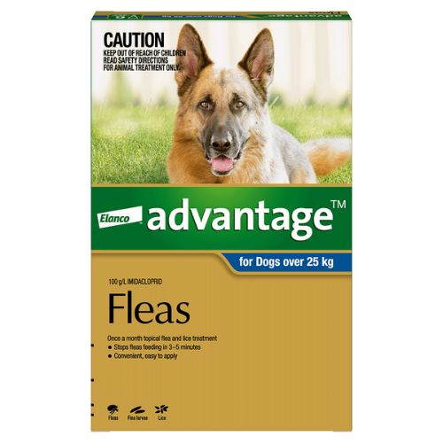 Advantage Extra Large Over 25kg Blue