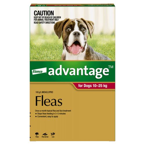 Advantage Large 10-25kg Red