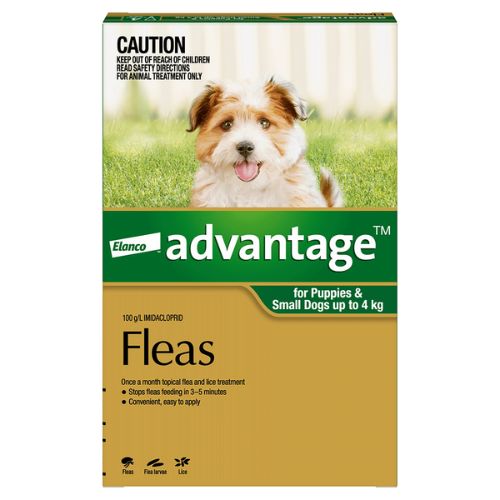 Advantage Small Dogs and Puppies Under 4kg Green