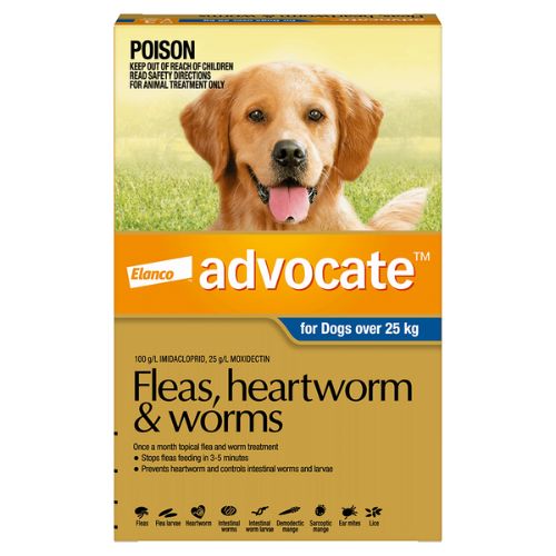 Advocate Extra Large Over 25kg Blue