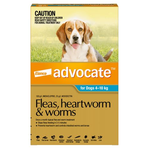 Advocate Medium 4-10kg Teal