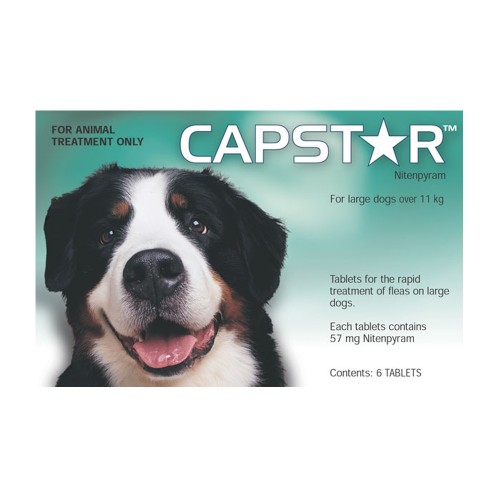 Capstar Large Dogs Over 11kg
