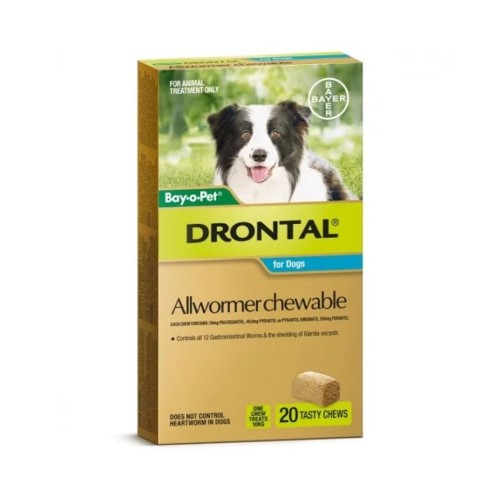 Drontal Allwormer Chew Medium 5.1-10kg