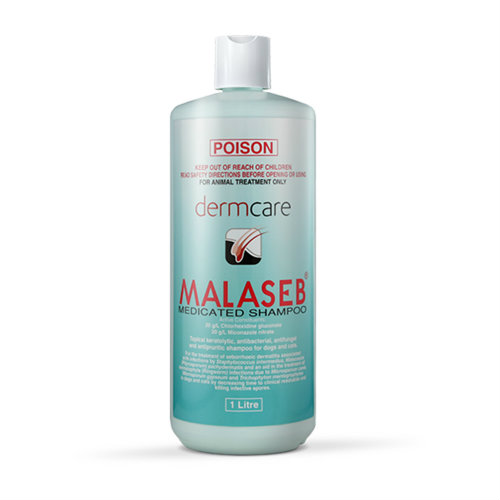 Dermcare Malaseb Shampoo